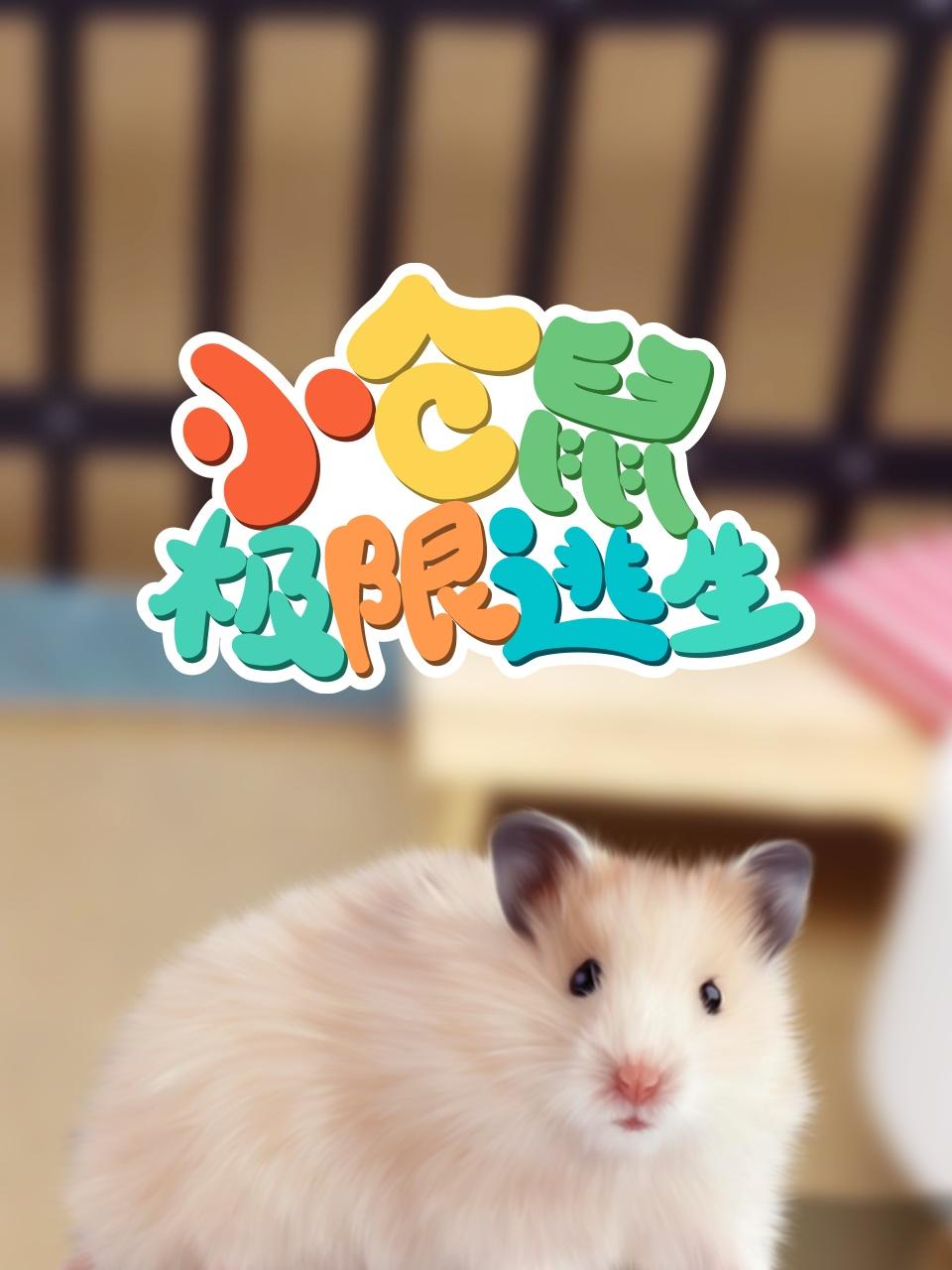 小仓鼠极限逃生