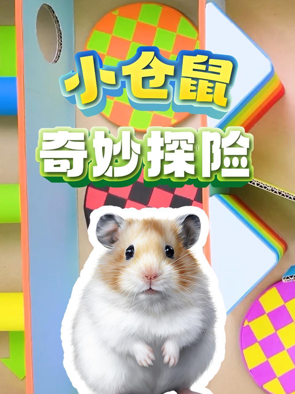 小仓鼠奇妙探险