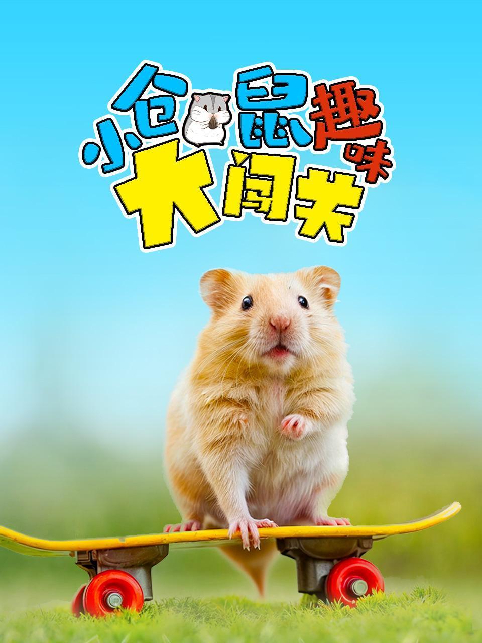 小仓鼠趣味大闯关