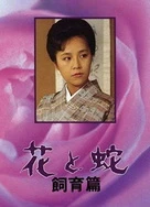 小仙女AV资源导航