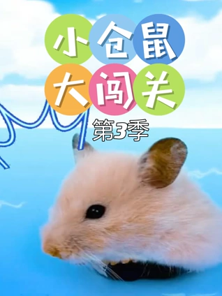 小仓鼠大闯关3