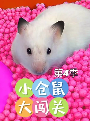 小仓鼠大闯关4