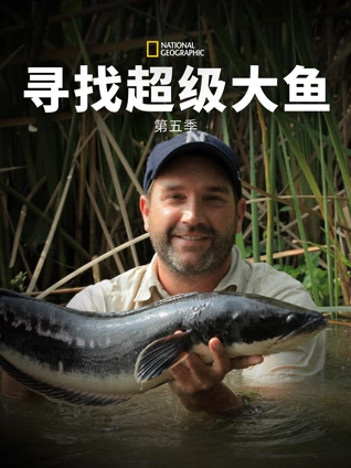 寻找超级大鱼5