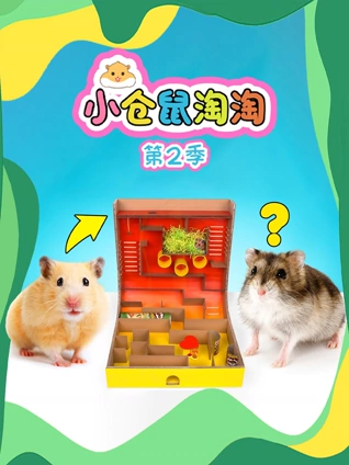 小仓鼠淘淘 2
