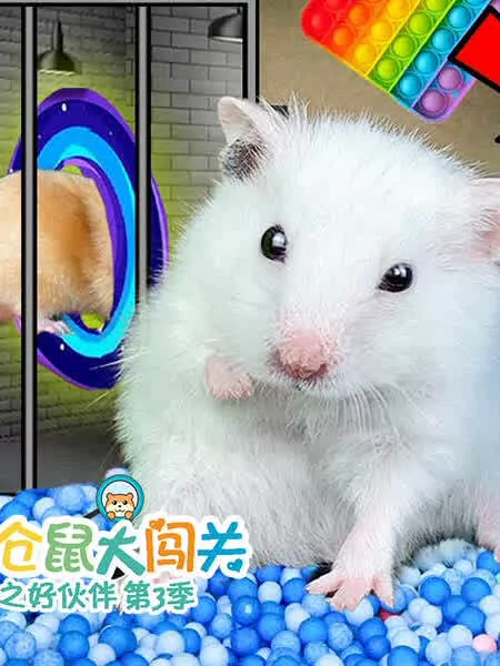 小仓鼠大闯关之好伙伴3