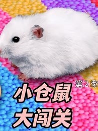 小仓鼠大闯关 第2季
