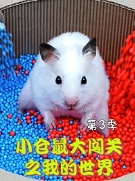 小仓鼠大闯关之我的世界 第3季